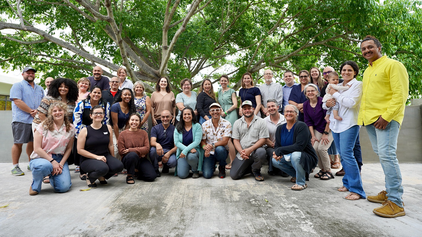 Group photo of meeting attendees in front of a large tree.
